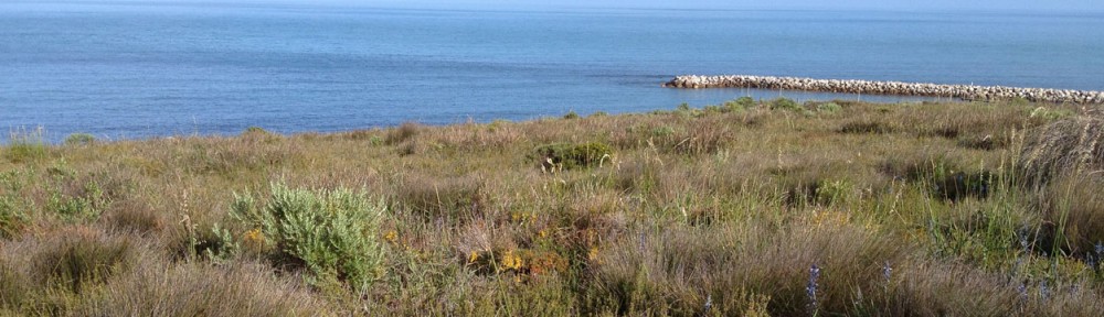 Cape Jervis Coastal Community Group