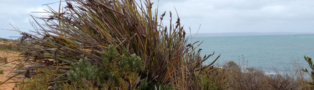 Cape Jervis Coastal Community Group