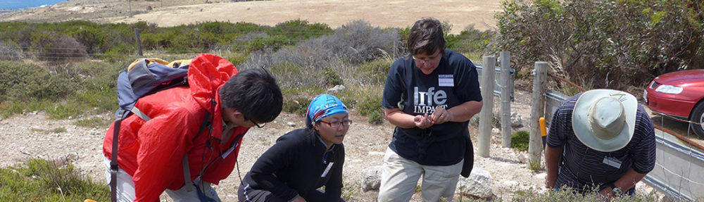 Cape Jervis Coastal Community Group